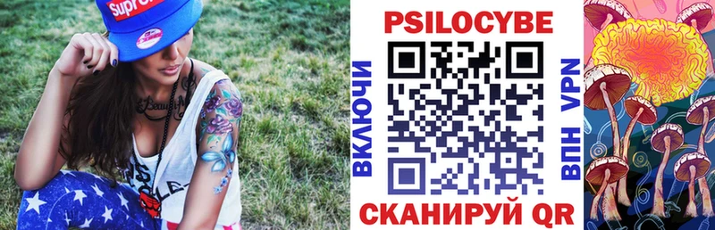 кракен зеркало  Воронеж  Псилоцибиновые грибы GOLDEN TEACHER 